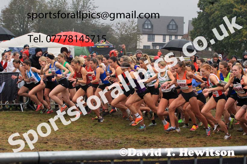 Senior Womens 2023 National Cross Country Relays, Berry Hill Park, Mansfield.  Photo: David T. Hewitson/Sports for All Pics